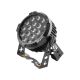 FLASH PRO PAR LED PAR64 LED P1910 IP ALU T